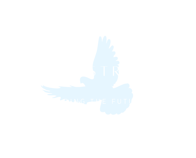 PAZ Construction